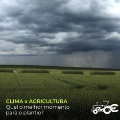 Cambuci Metalúrgica | clima x agricultura: qual o melhor momento para o plantio?
