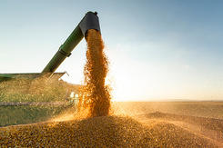 Cambuci Metalúrgica | Atendimento ágil na reposição de peças agrícolas