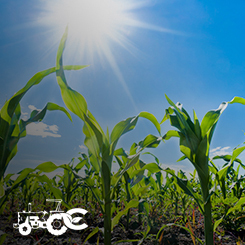 Cambuci Metalúrgica | Gerenciamento de recursos agrícolas: 5 passos essenciais para gerar os melhores resultados