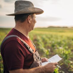 Cambuci Metalúrgica | Seguro rural: Proteção para o seu investimento 